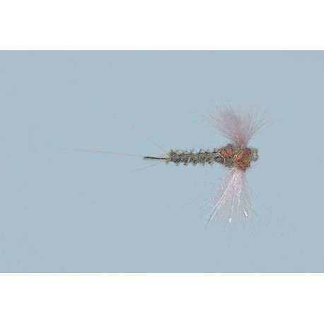 Bwo Sparkle Wing Spinner