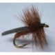 Caddis King River