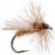 Caddis Variant