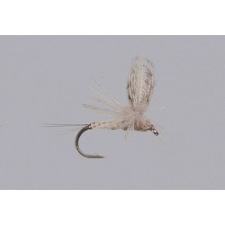 Callibaetis CDC Parachute