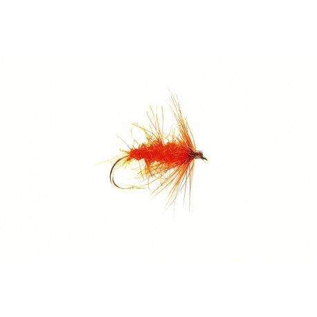 Carrot Fly Orange