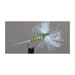 CDC Biot Spinner (Bwo)