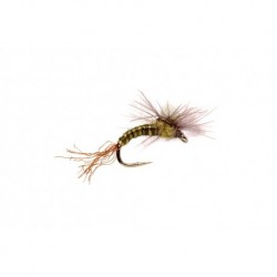 CDC Bud Emerger Bwo