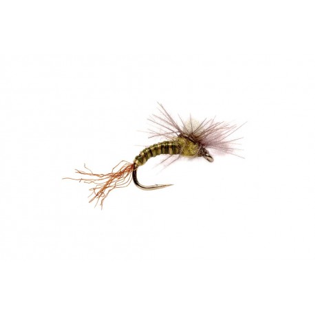 CDC Bud Emerger Bwo