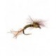 CDC Budding Emerger