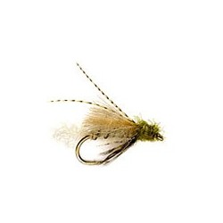 CDC Emerging Caddis