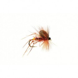 CDC Fiery Brown