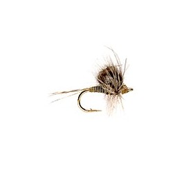 CDC Loopwing Quill Emerger