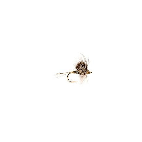 CDC Loopwing Quill Emerger