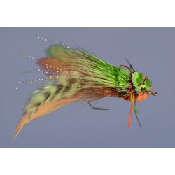 Daves Diving Frog Orange Belly