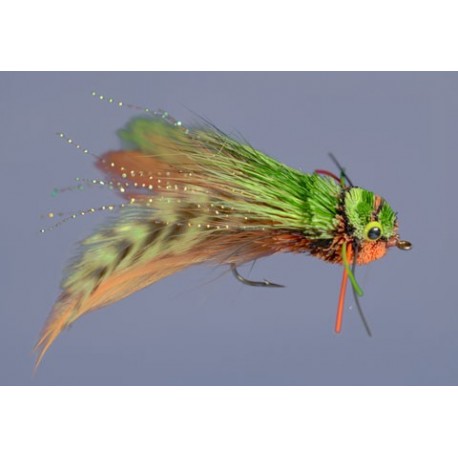 Daves Diving Frog Orange Belly