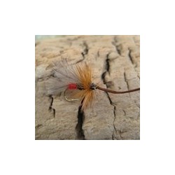 CDC Red Sedge (Dry)