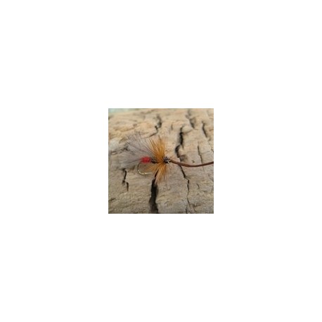 CDC Red Sedge (Dry)