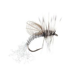 CDC Winged Emerger Grey Drake