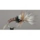 Challenged Mayfly Emerger