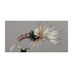 Challenged Mayfly Emerger