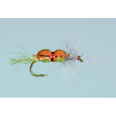 Cheech's Grumpy Frumpy Pmd