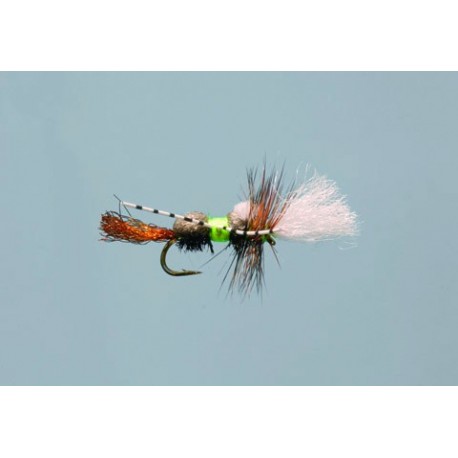 Cheech's Peacock Grumpy Frumpy