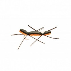 Chernobyl Ant Black & Orange