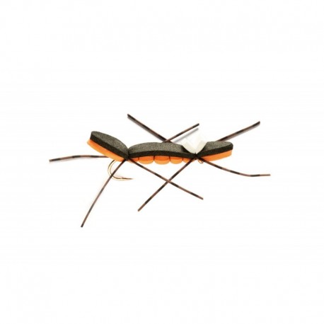 Chernobyl Ant Black & Orange