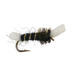 Chironomid Suspender Pupa