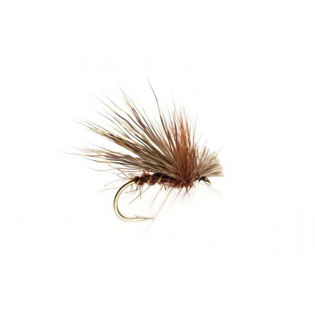 Chocolate Drop Sedge