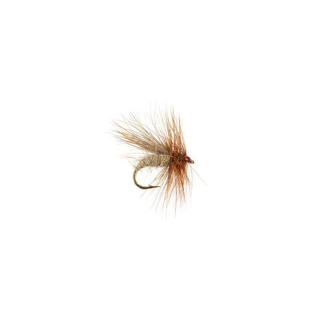 Cinnamon Caddis