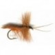 Cinnamon Horned Caddis