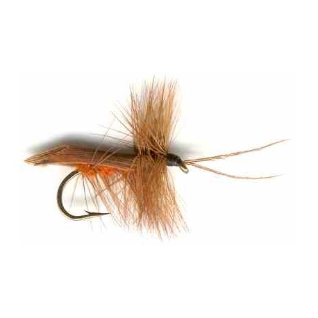 Cinnamon Horned Caddis
