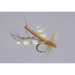 Cinnamon Variant Daddy Long Legs