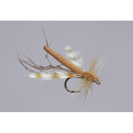 Cinnamon Variant Daddy Long Legs