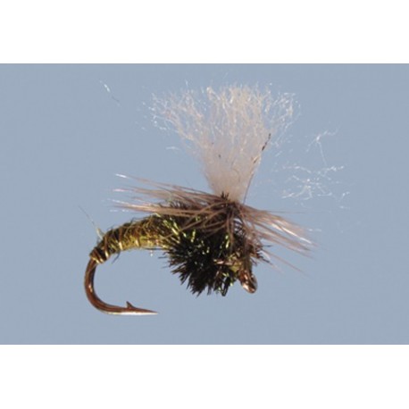 Click Emergent Olive