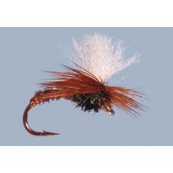 Click Emergent Pheasant