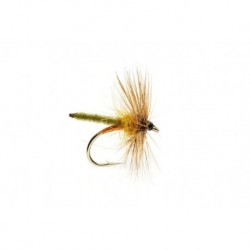 Copper Olive Palamino