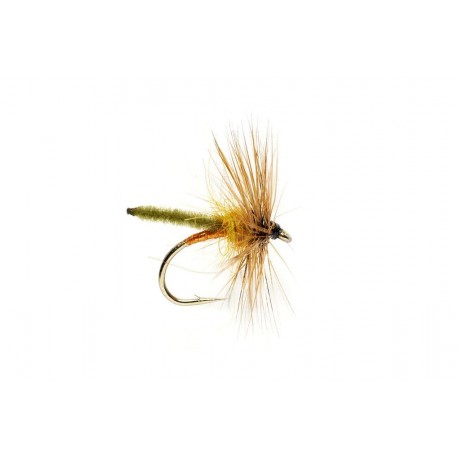 Copper Olive Palamino