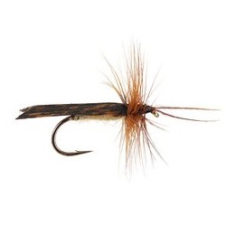 Cos Caddis