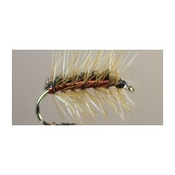 Crackleback Brown Spider