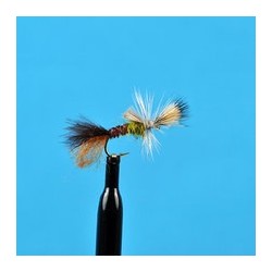 Cripple Pale Morning Dun