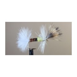 Cripple Pale Morning Dun