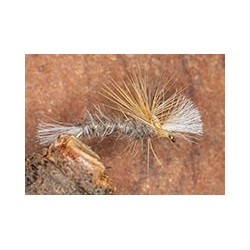 Crippled Midge Hares Ear