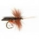 Dark Brown Horned Caddis