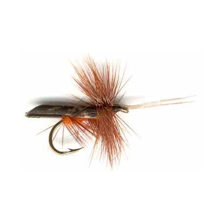 Dark Brown Horned Caddis