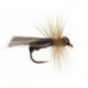 Dark Caddis