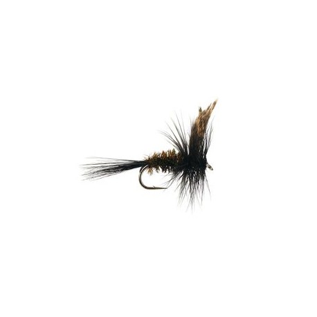 Dark Peacock Dry