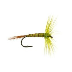 Devaux Olive Ribbed