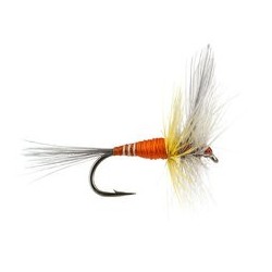 Devaux Orange Winged