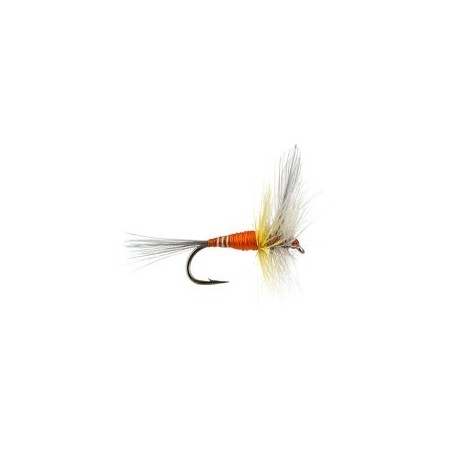 Devaux Orange Winged