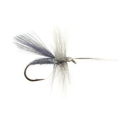 Dun Caddis