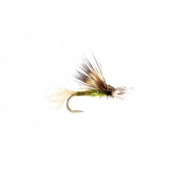 Ec Caddis Olive