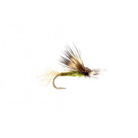 Ec Caddis Olive